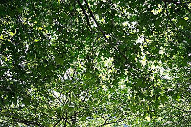 《厄瑞班：暗影之族》将于2023年发售 首发加入XGP