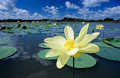 黑暗幻想FPS《巫火》首发不登陆Steam 使用虚幻4制作